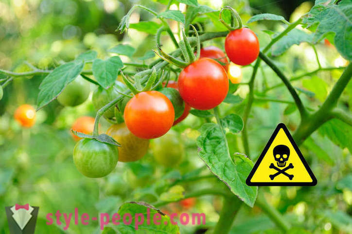 This is harmful to eat tomatoes?