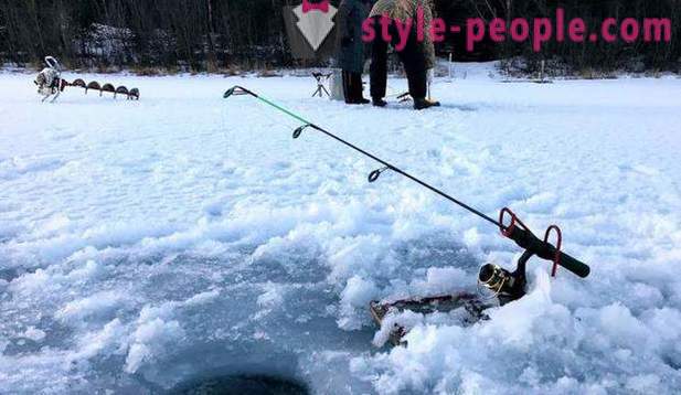 Hunting and fishing in the Perm region: especially fishing, types of hunting and fishing