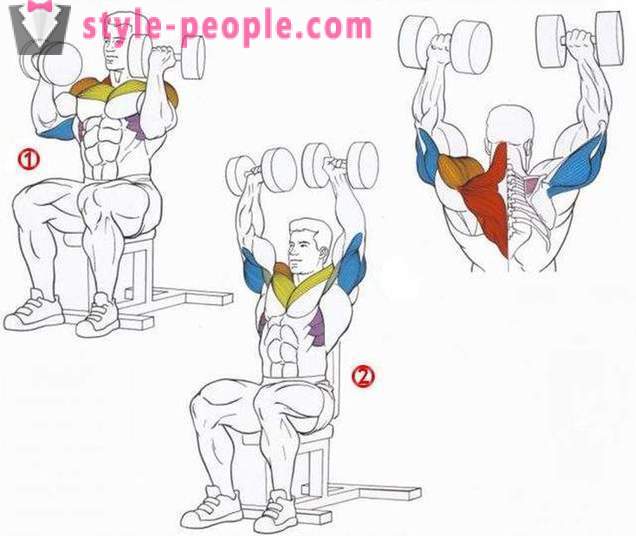 Press of dumbbells sitting: proper exercise technique, common mistakes