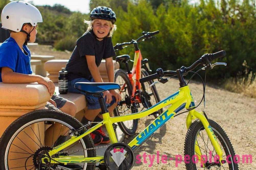 Bicycles Giant: review of models, reviews