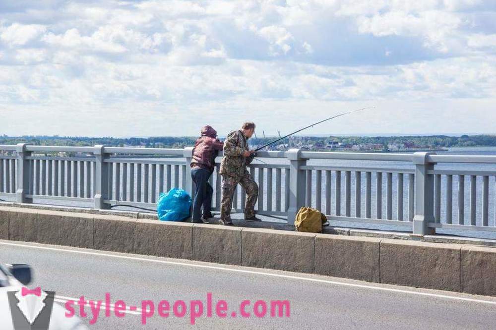 Fishing in Saratov on the Volga: photos and reviews