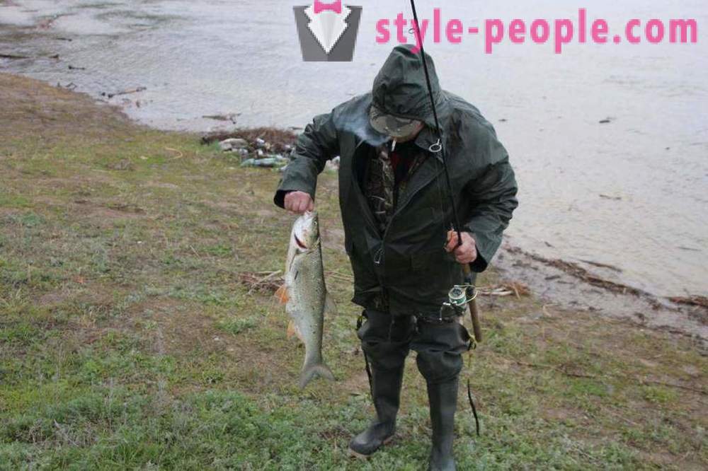 Fishing in Saratov on the Volga: photos and reviews