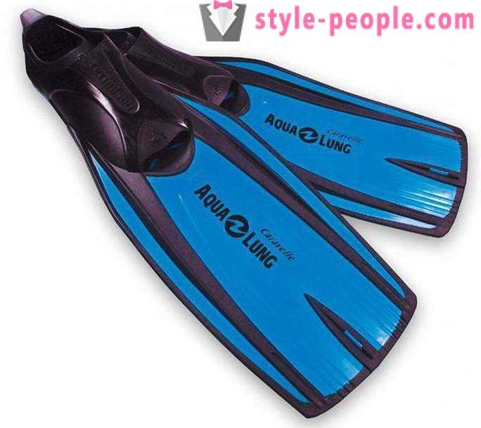 Fins for spearfishing: types, sizes, advice on choosing