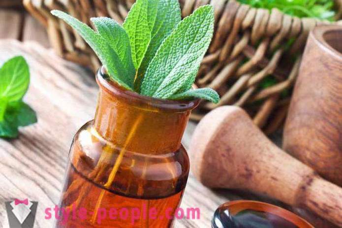 Sage Hair: medicinal properties, the use of oil and broth, reviews