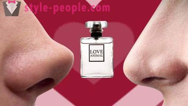Perfume with pheromones: reviews, myth or reality, as the act