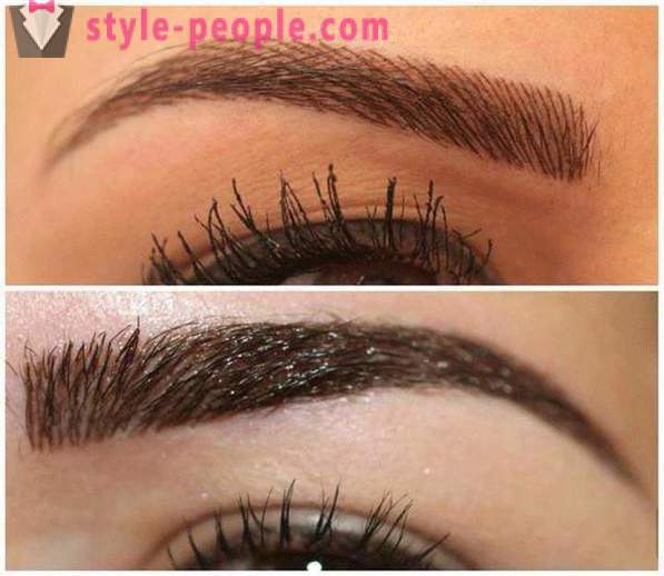 How to paint the eyebrows henna? Before & After pictures, reviews. How is held Henna on eyebrows