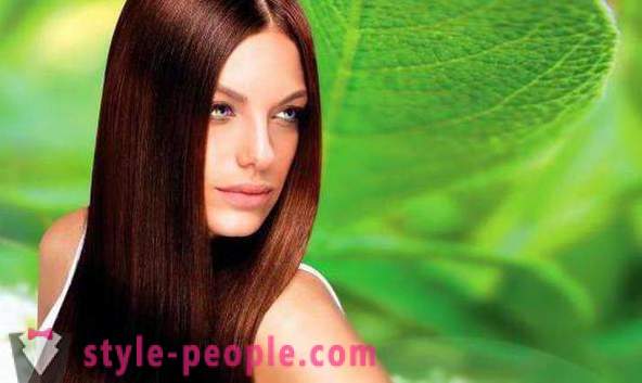 Colorless henna for hair strengthening: peculiarities of application, recommendations, and reviews