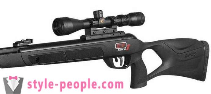 Air rifle Gamo Hunter 1250: overview, features and reviews