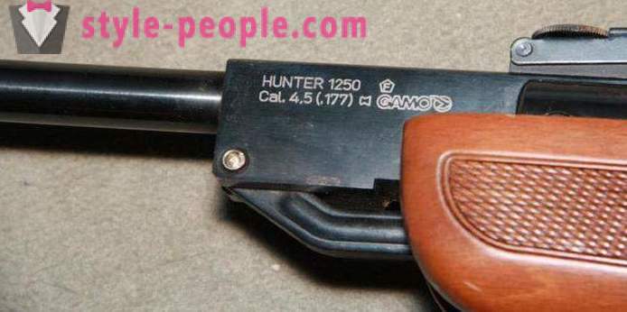 Air rifle Gamo Hunter 1250: overview, features and reviews