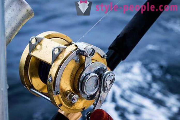 How to choose a reel for a fishing rod?