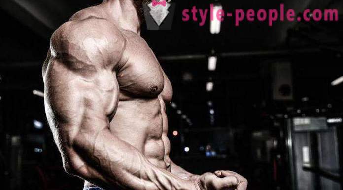 How to build the biceps and triceps in the home: the training program and recommendations