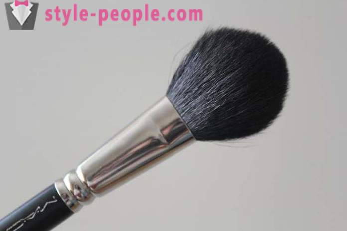 Brush for blush: a review of how to choose and how to care? Makeup Brush Set