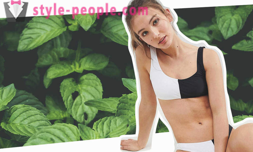 10 best supplements for a flat stomach