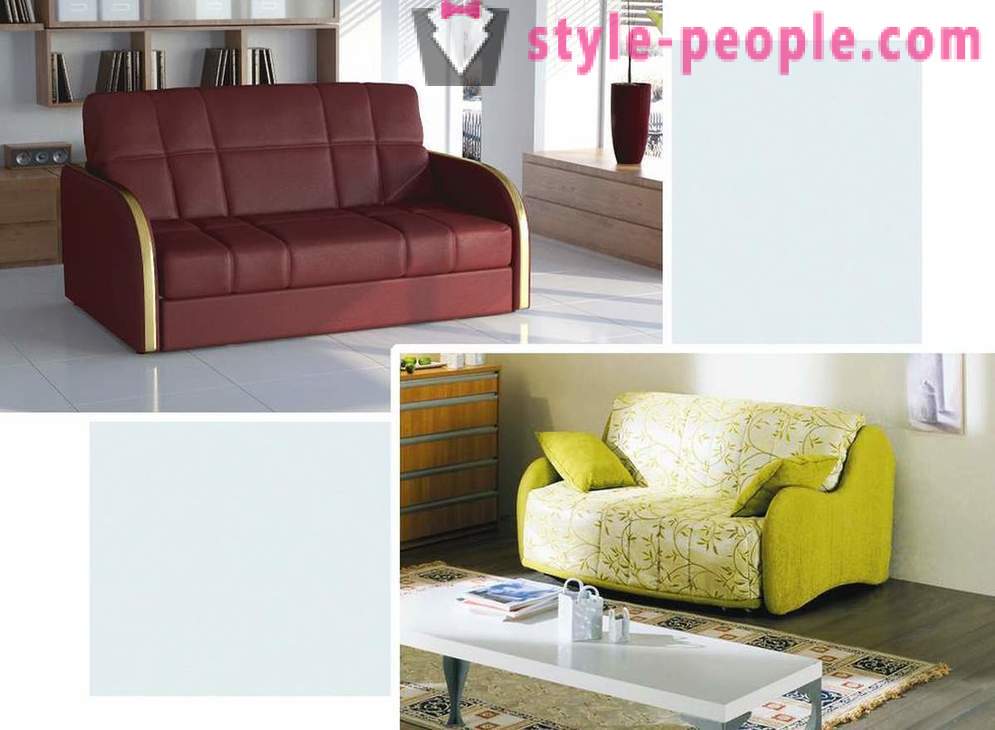 How to choose a sofa for your interior
