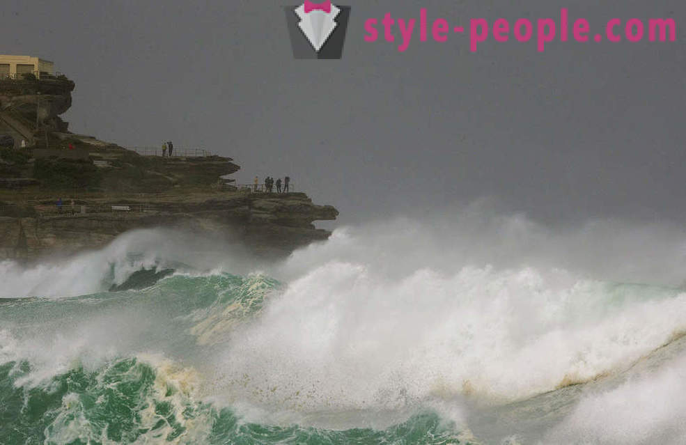 Extreme surfers Sydney