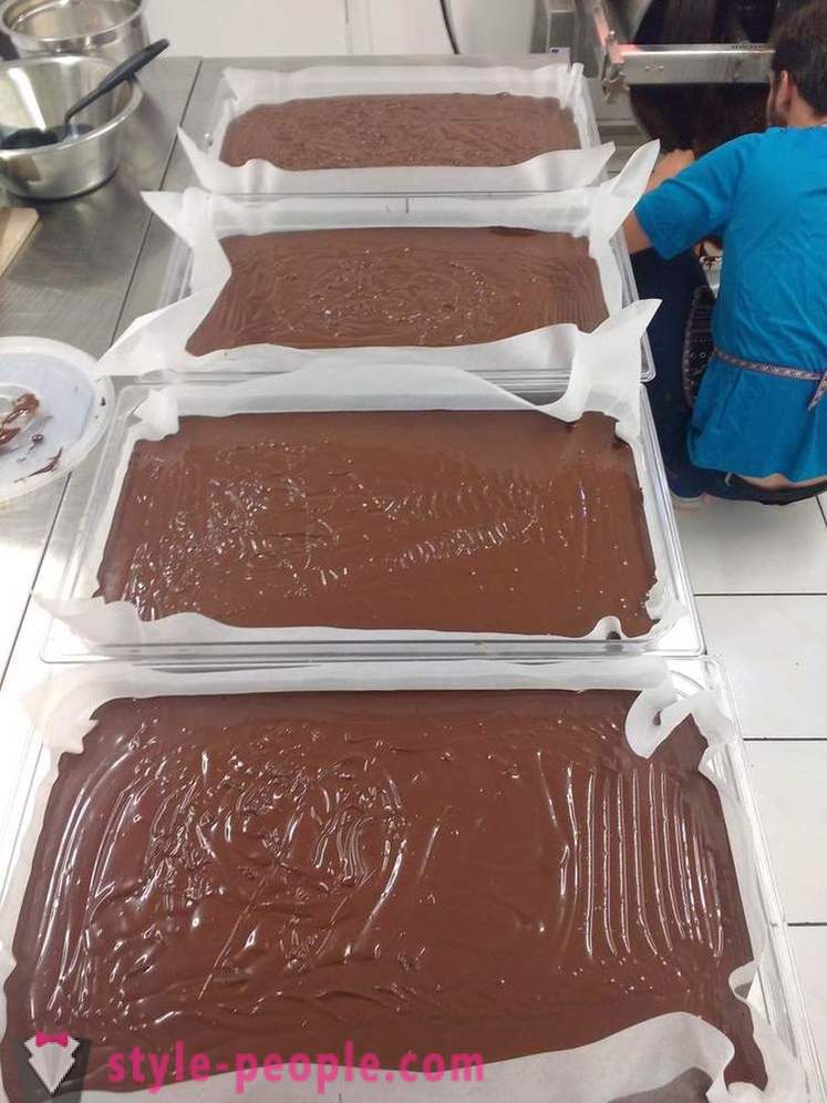 The process of growing and producing chocolate