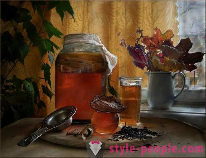 What is kombucha, than it is useful to man, and how to grow it at home