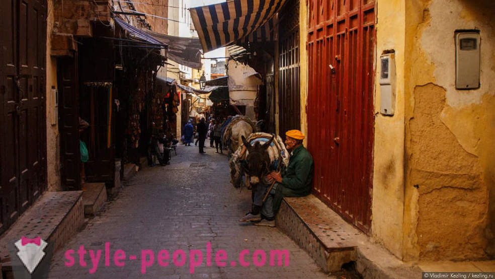 Moroccan fairy tale: a fetid Fes