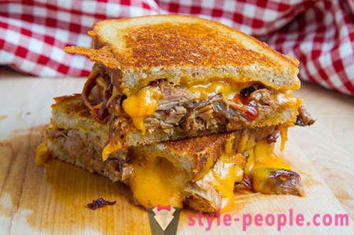 20 ideas from around the world how to make a sandwich with cheese