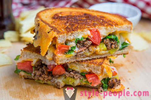 20 ideas from around the world how to make a sandwich with cheese