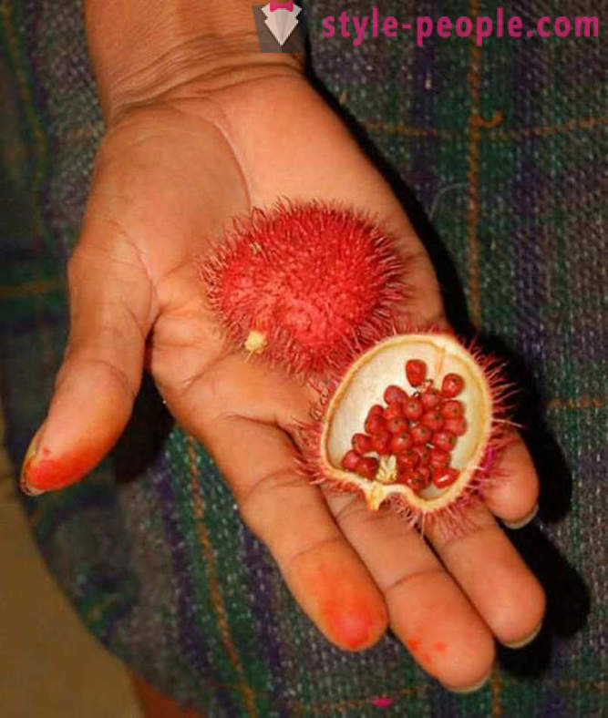 20 exotic fruits from around the world, of which you have not heard