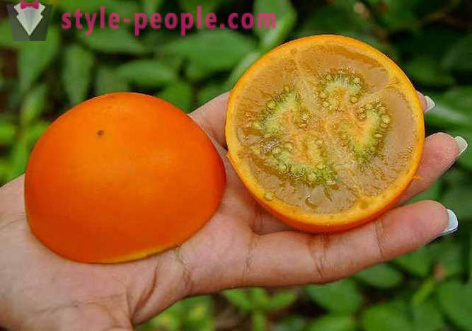 20 exotic fruits from around the world, of which you have not heard