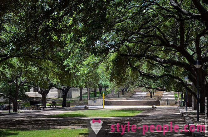 Walk to University of Texas