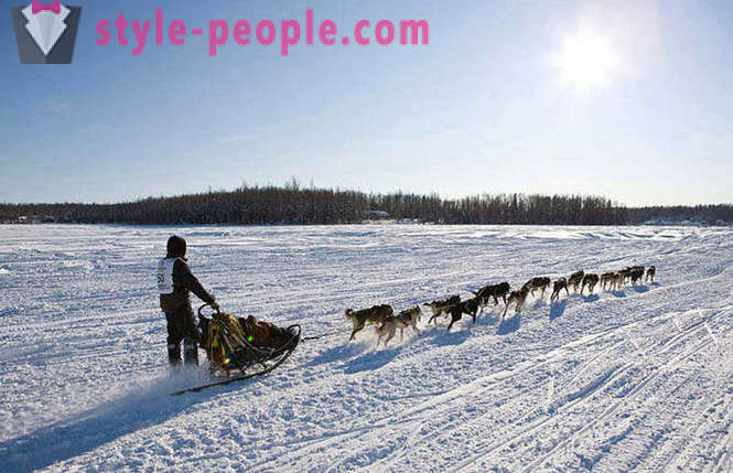 Sled Dog Race 2012 Iditarod