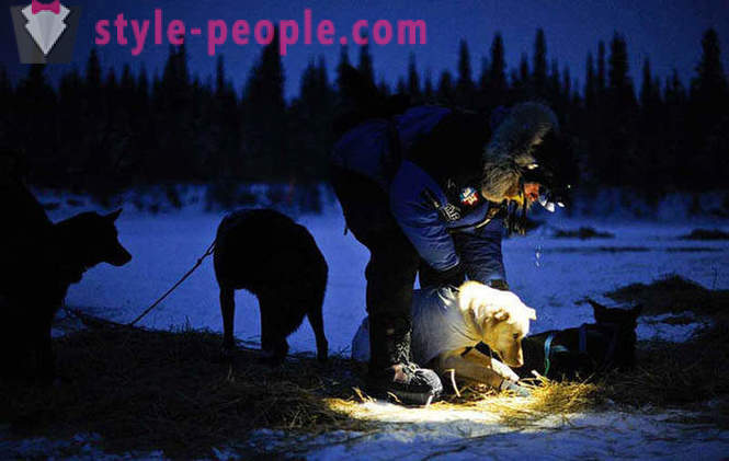 Sled Dog Race 2012 Iditarod