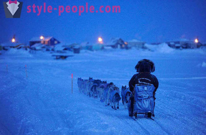 Sled Dog Race 2012 Iditarod