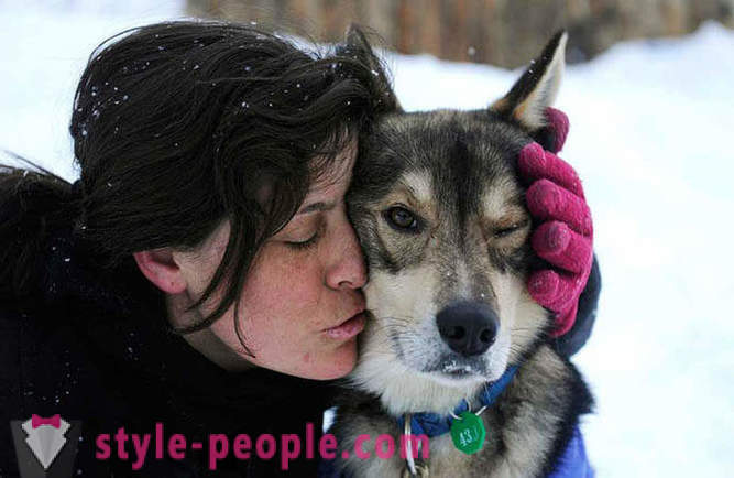 Sled Dog Race 2012 Iditarod