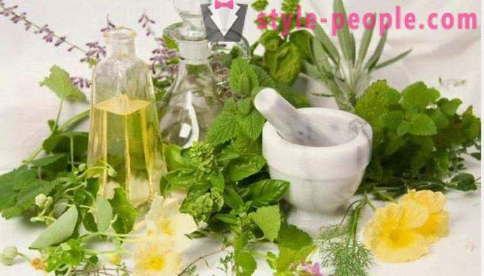 Application of Caucasian hellebore for weight loss: how to drink reviews. Hellebore Caucasian: the use and contraindications