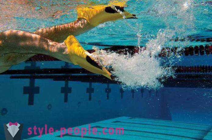 How to choose fins for swimming: step by step guide
