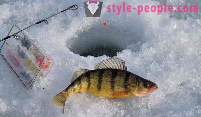 Winter fishing on the ice first: Tips experienced