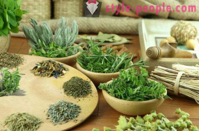 Slimming herbs (25 kg per month): recipes, reviews. herbal pickings