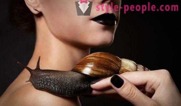 Snails Achatina in cosmetology: how to use?