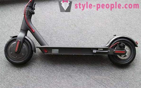 Electric Scooter adult: an overview, specifications and reviews