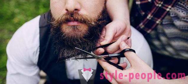 Men's beard stylish: types, especially care