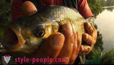 Fishing on Pakhra: photos and reviews. fishing spots