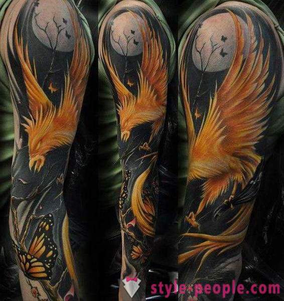 Phoenix Tattoo: sketches and options