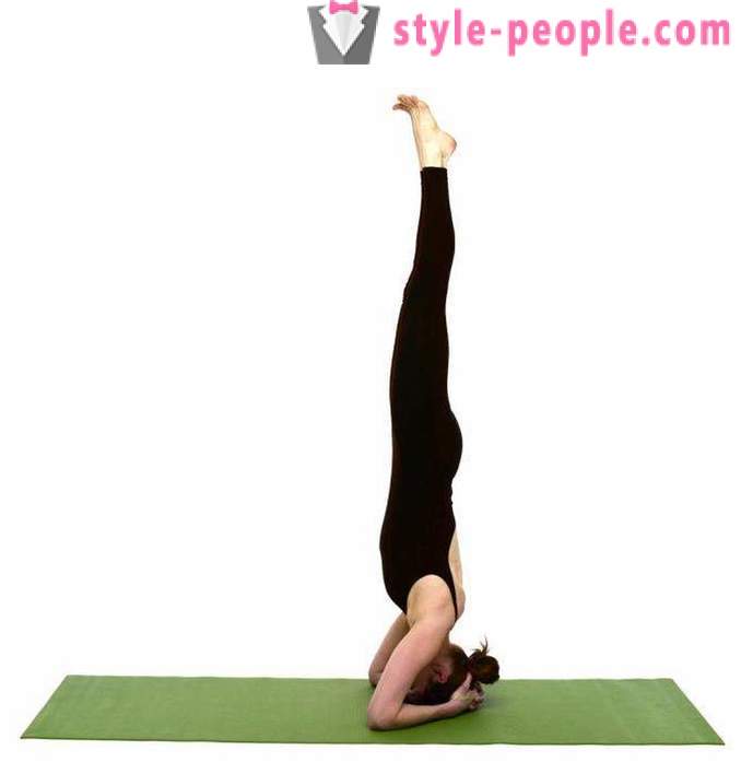 Sirshasana - headstand in yoga