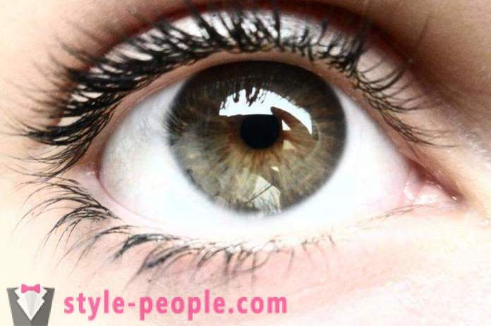 Swamp eye color. What determines the color of the human eye?