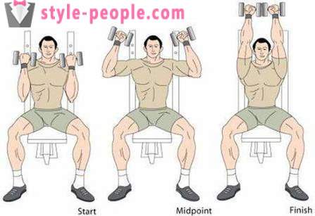 Train shoulders. Effective exercises for the shoulders