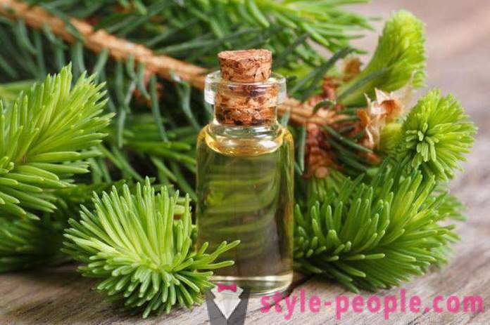 Cedar oil: application, useful properties