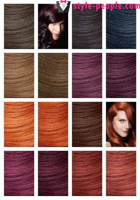 The palette of hair colors 