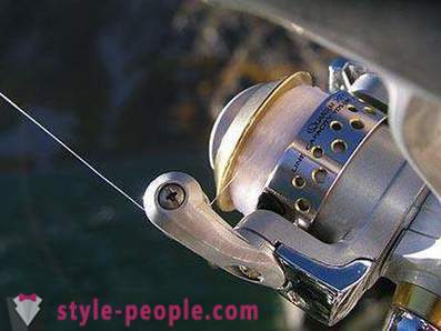 How to wind the fishing line on the trimmer: examples and recommendations
