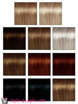 The palette of hair colors. The palette of paint colors for hair