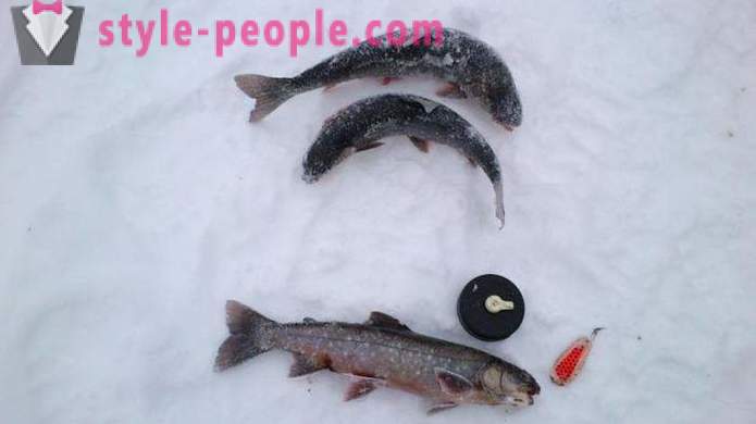 Fishers note: trout fishing in winter