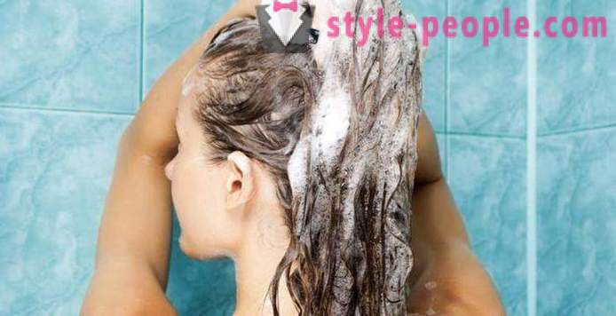 How to make a shampoo with their hands. Pet shampoos: recipes