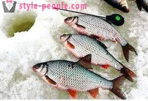 Accessories Winter fishing rods on bream. Winter float rod: snap